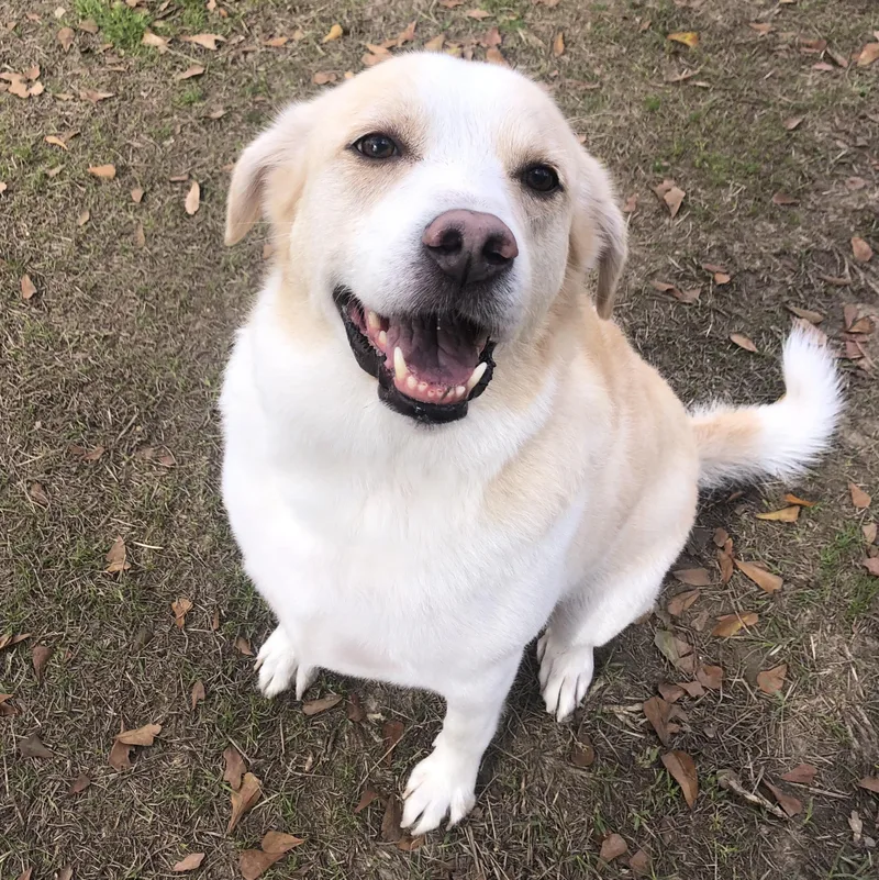 Lady Bug thumbnail 5