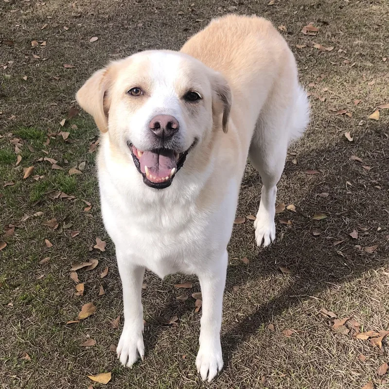 Lady Bug thumbnail 6