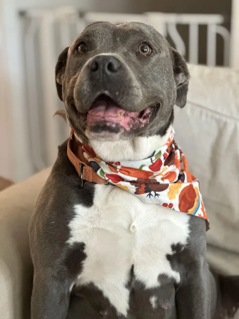 Sara….. Yo Who Needs thumbnail 4