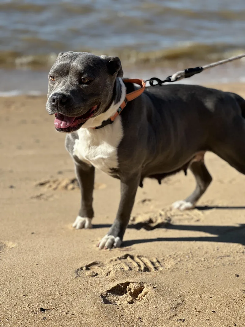 Sara….. Yo Who Needs thumbnail 5