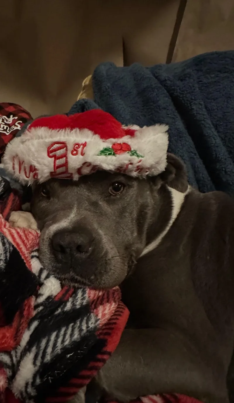 Sara….. Yo Who Needs thumbnail 6