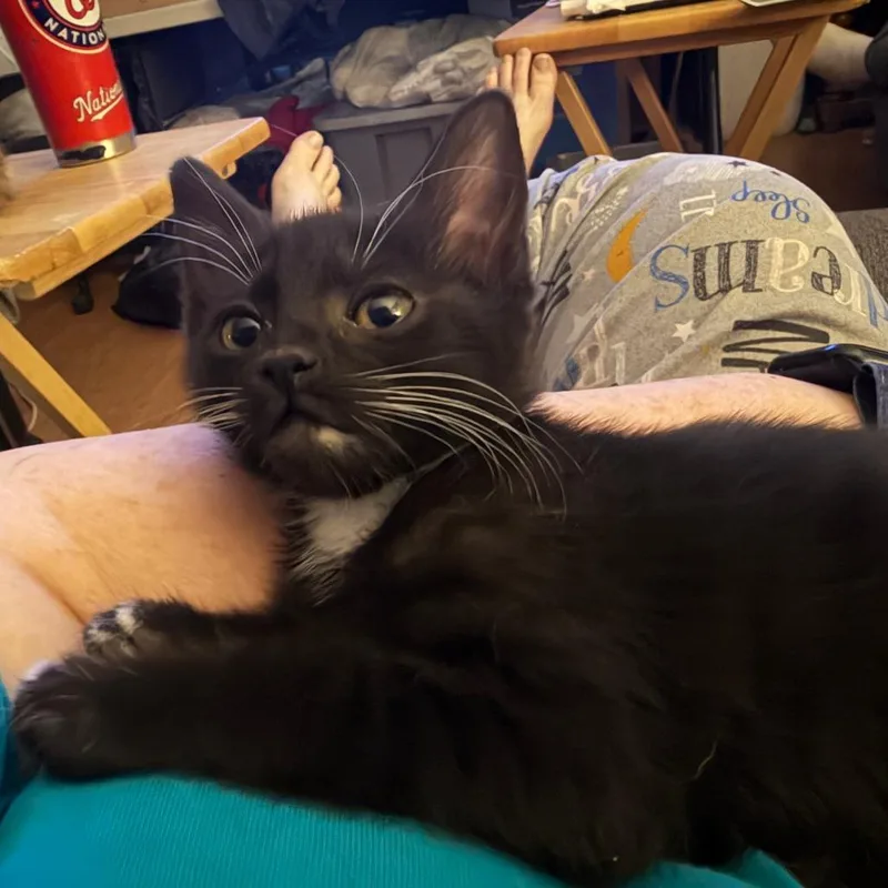 Jolie Willingham thumbnail 2