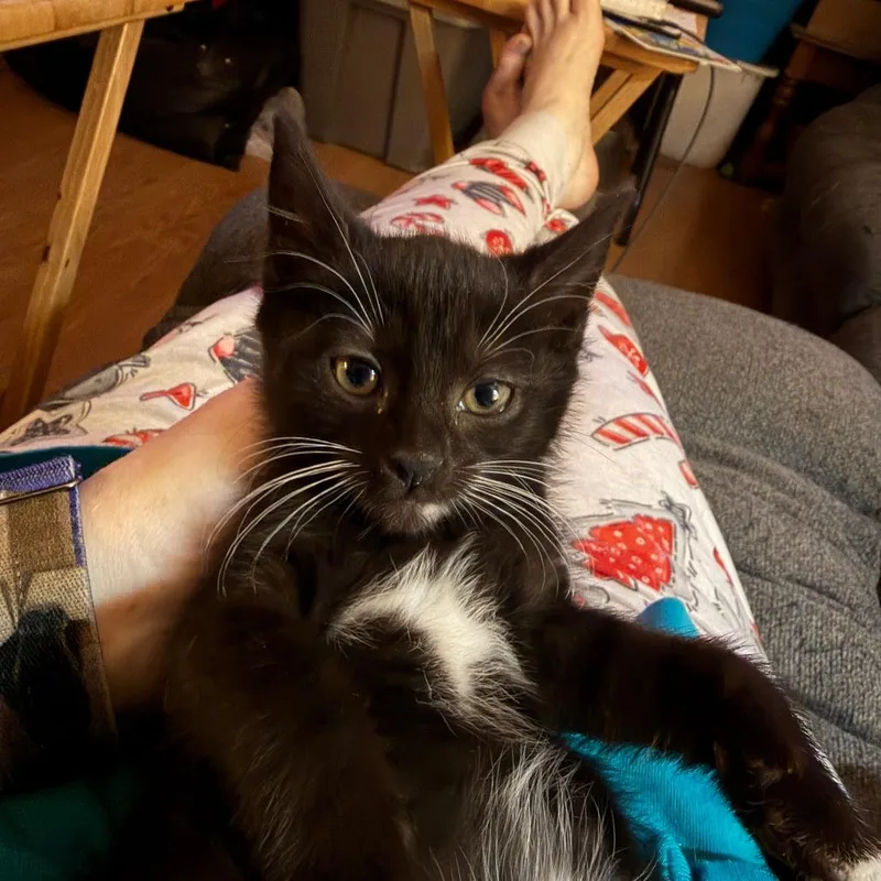 Jolie Willingham thumbnail 6