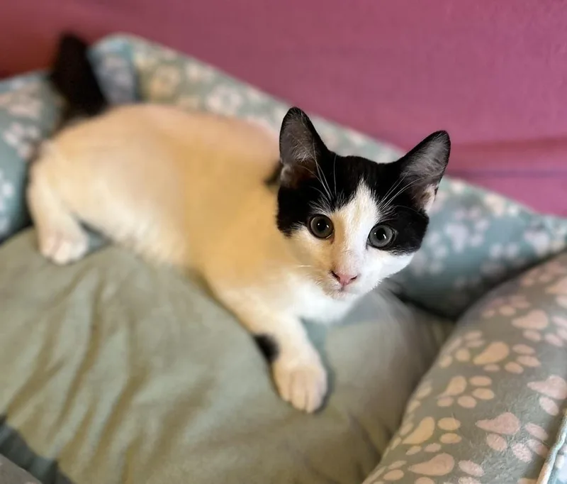 Saturday thumbnail 2