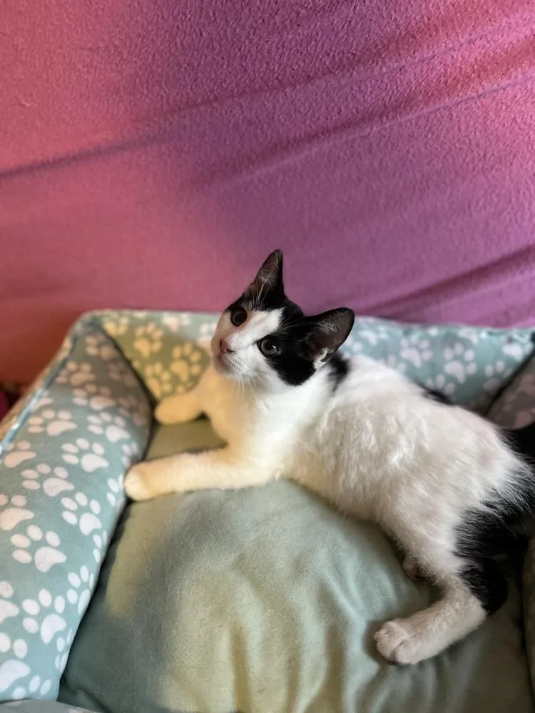 Saturday thumbnail 4