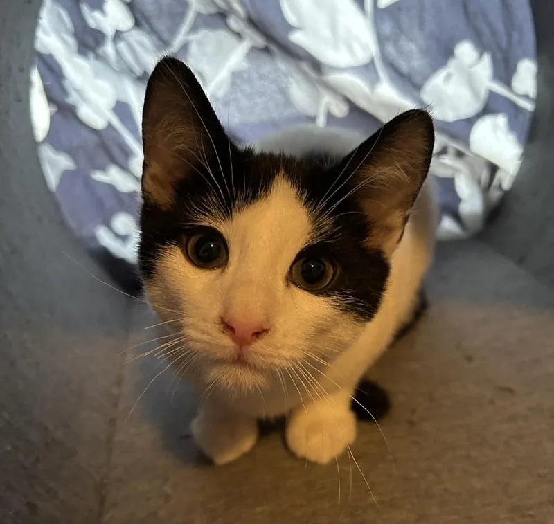 Saturday thumbnail 5