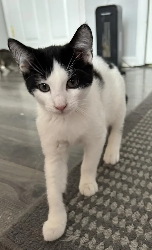 Saturday thumbnail 6