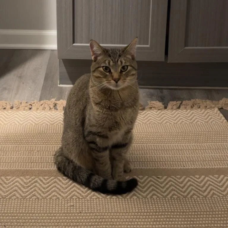 Solaris  Home To thumbnail 2