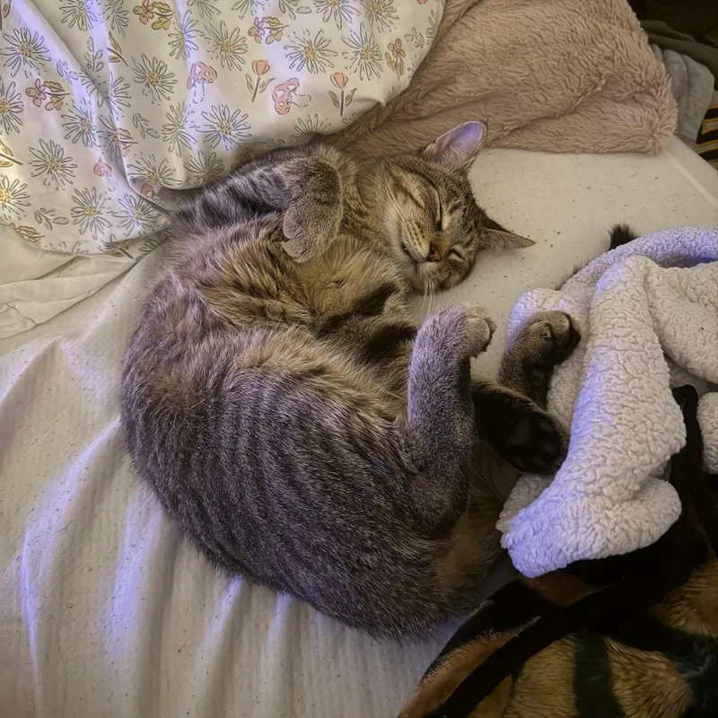 Solaris  Home To thumbnail 3