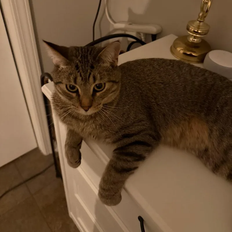 Solaris  Home To thumbnail 4