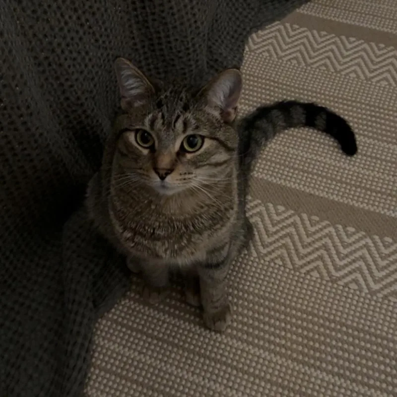 Solaris  Home To thumbnail 5