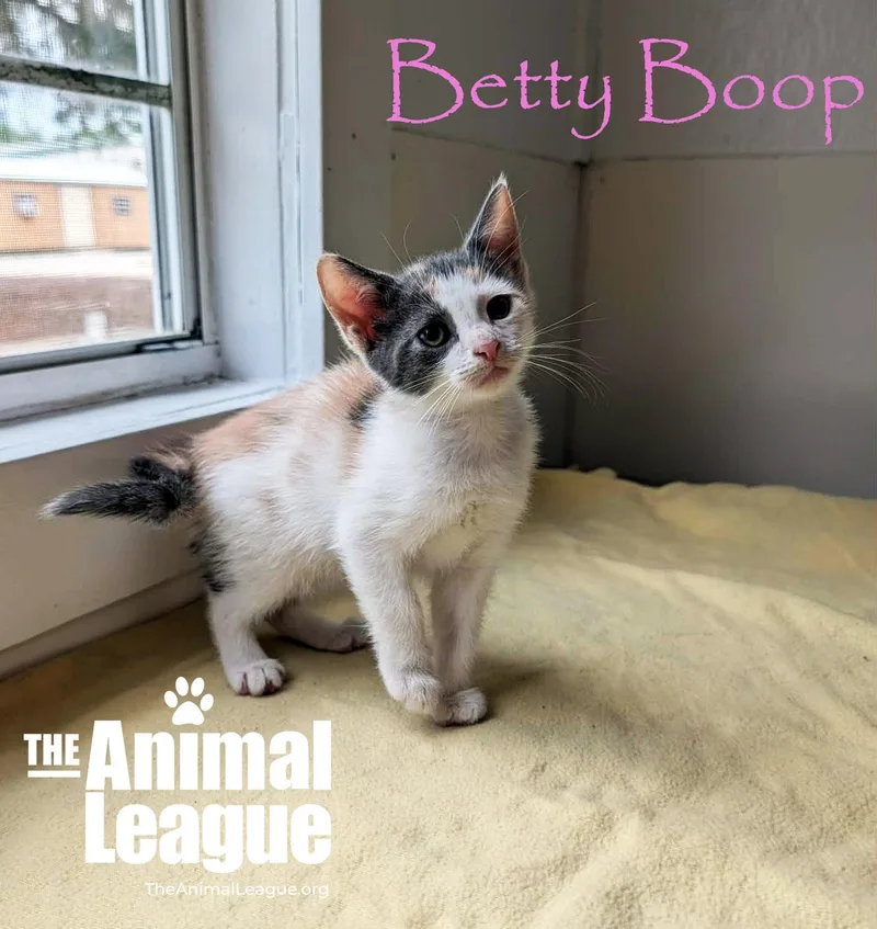 Betty Boop thumbnail 2