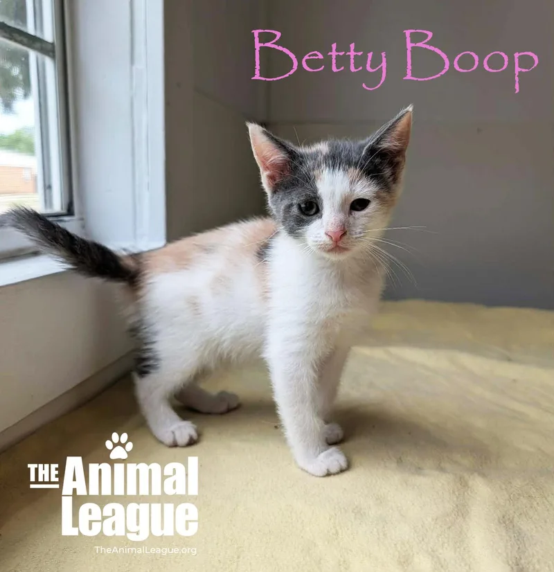 Betty Boop thumbnail 3