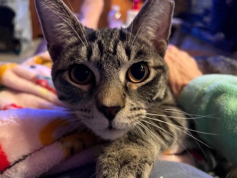 Jinx