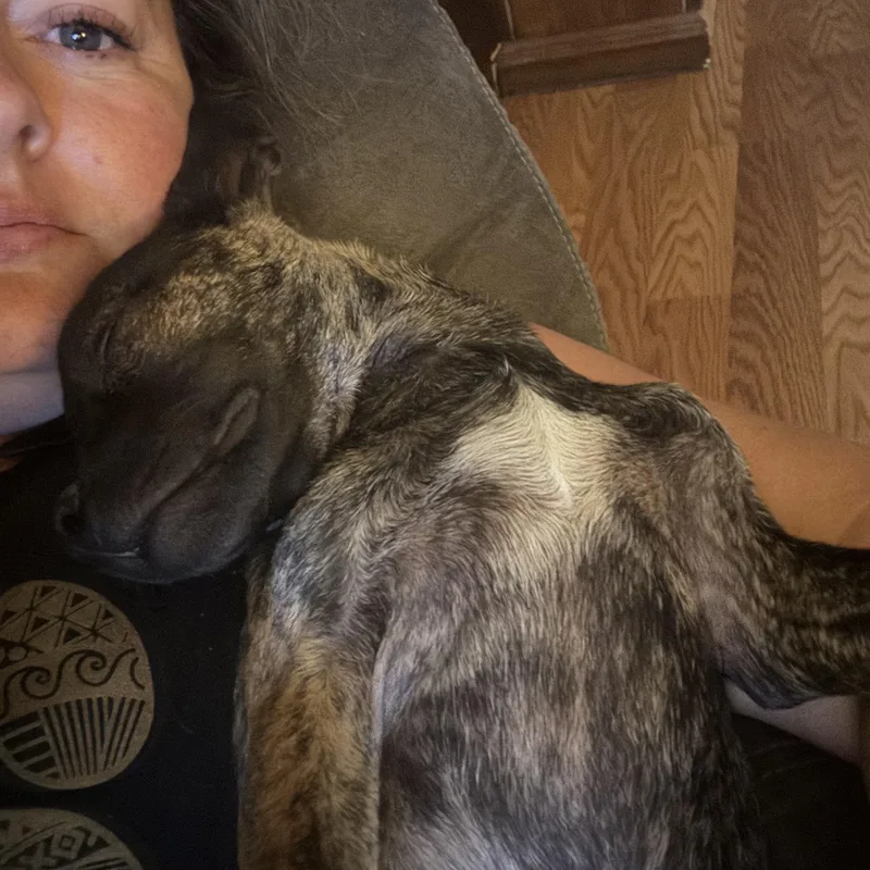 Twig Aka Phil thumbnail 2