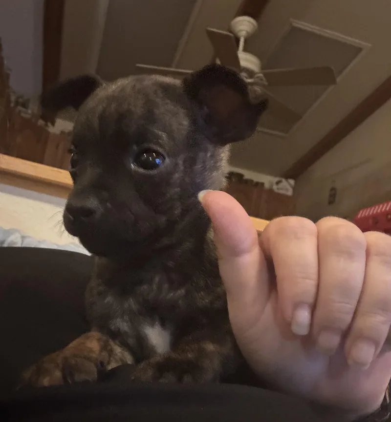 Twig Aka Phil thumbnail 3