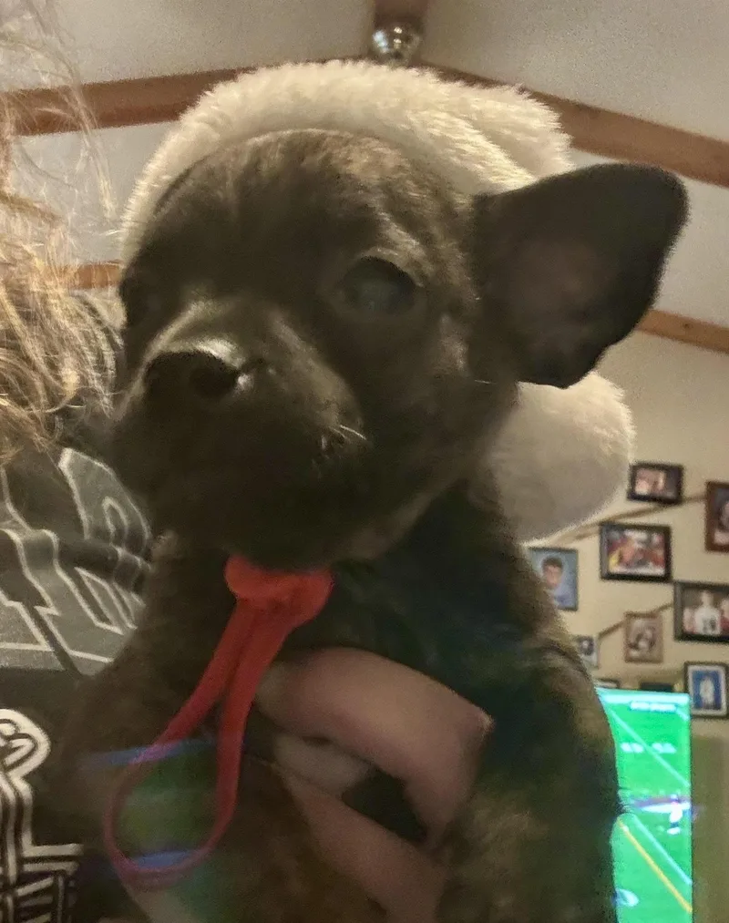 Twig Aka Phil thumbnail 4