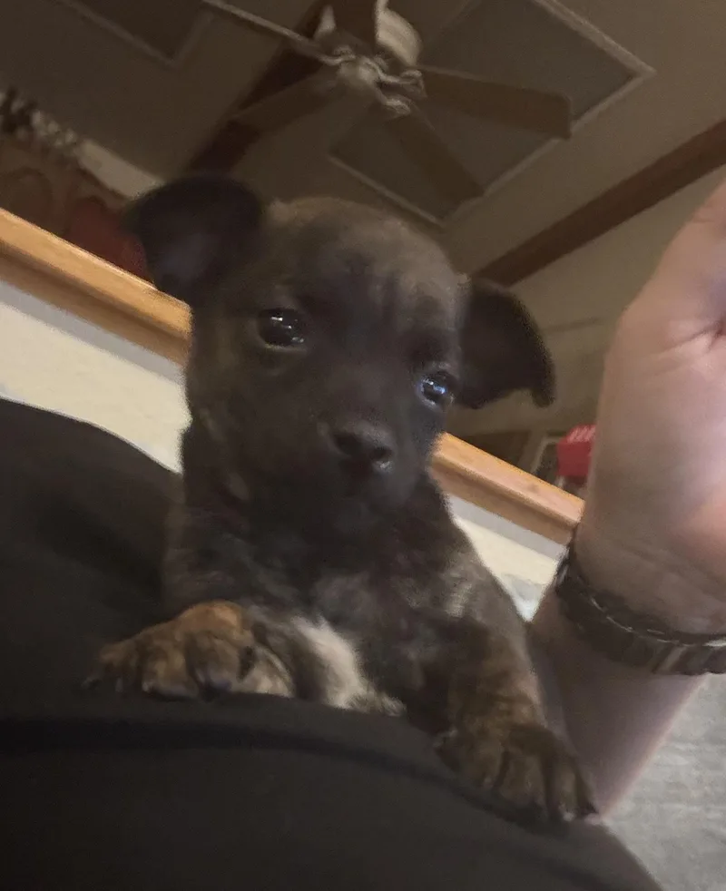 Twig Aka Phil thumbnail 5