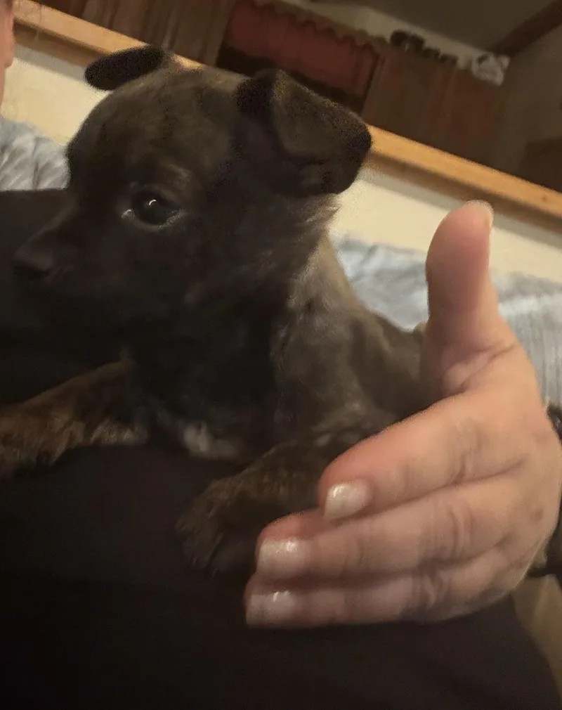 Twig Aka Phil thumbnail 6