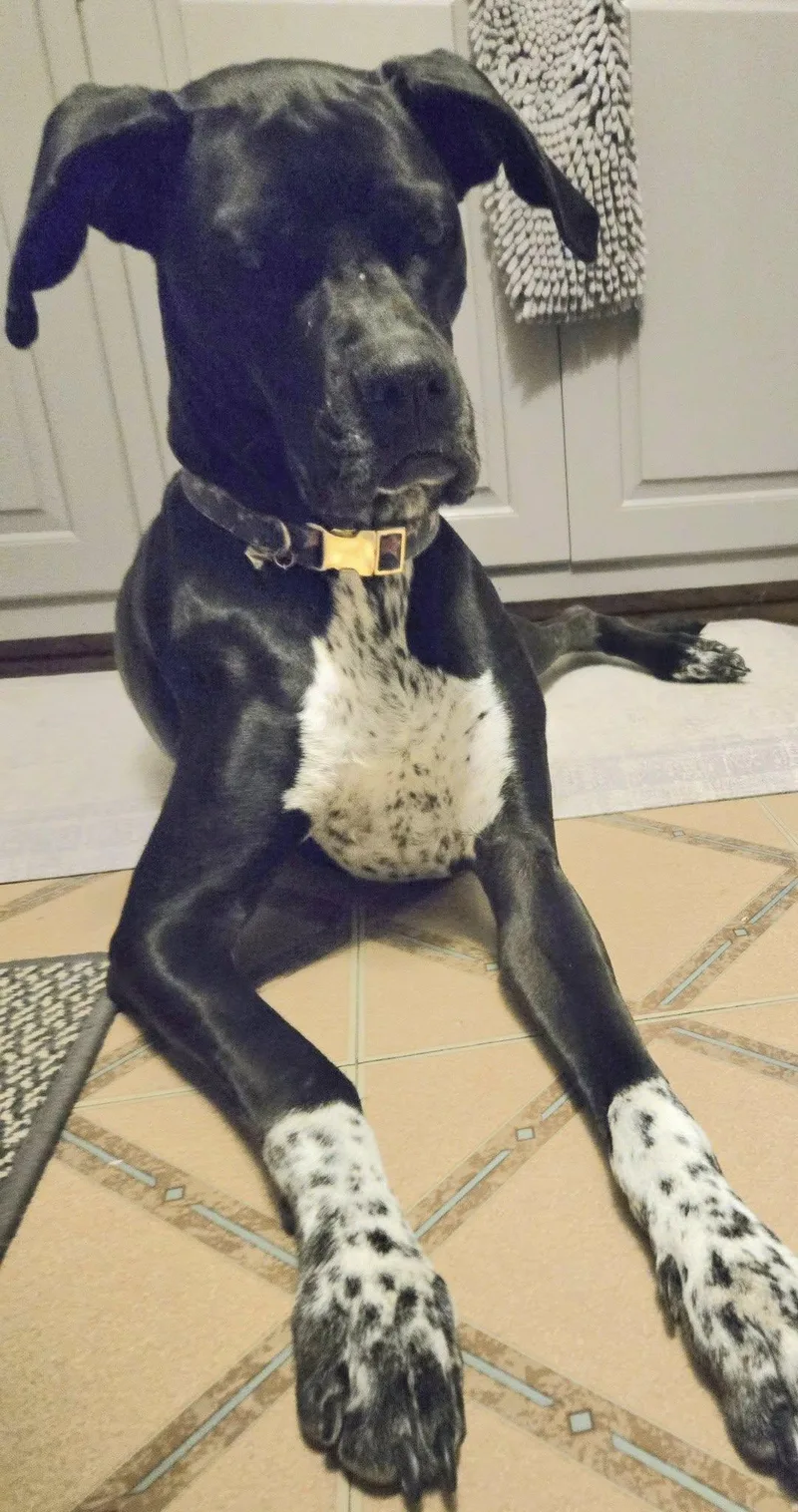 Rei! Vibrant Amazing Girl! thumbnail 2