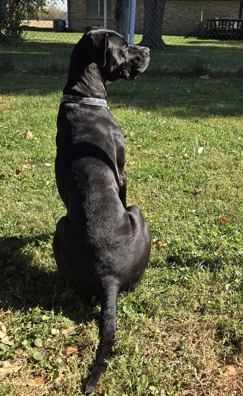 Rei! Vibrant Amazing Girl! thumbnail 3