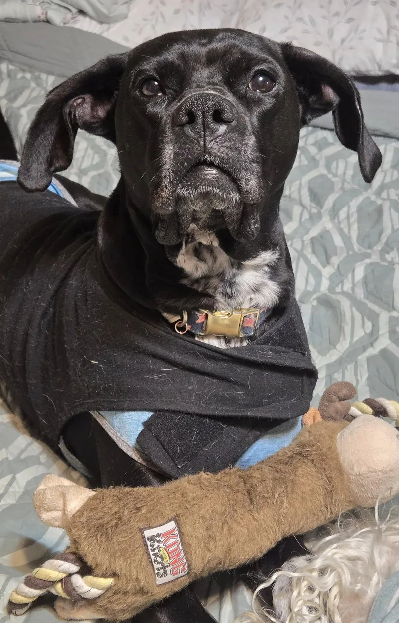 Rei! Vibrant Amazing Girl! thumbnail 4