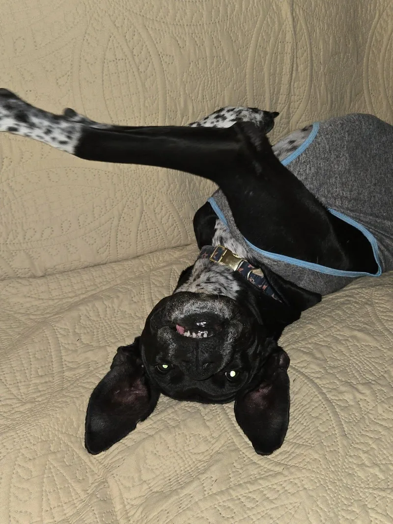 Rei! Vibrant Amazing Girl! thumbnail 5