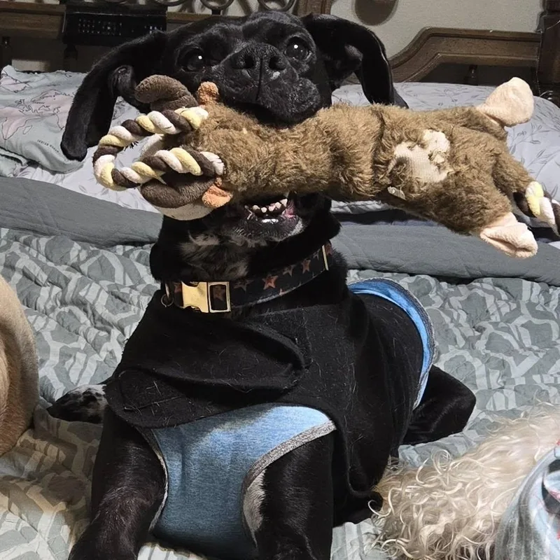 Rei! Vibrant Amazing Girl!