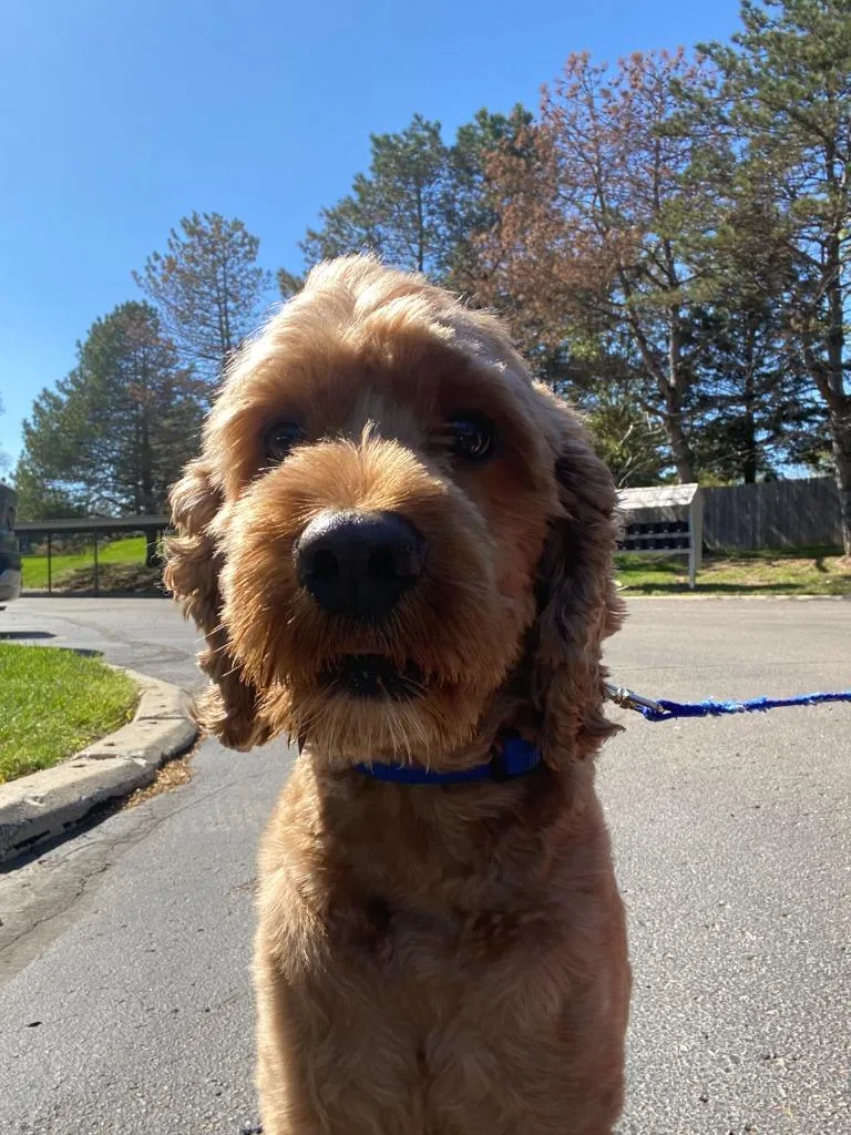 Bentley thumbnail 3