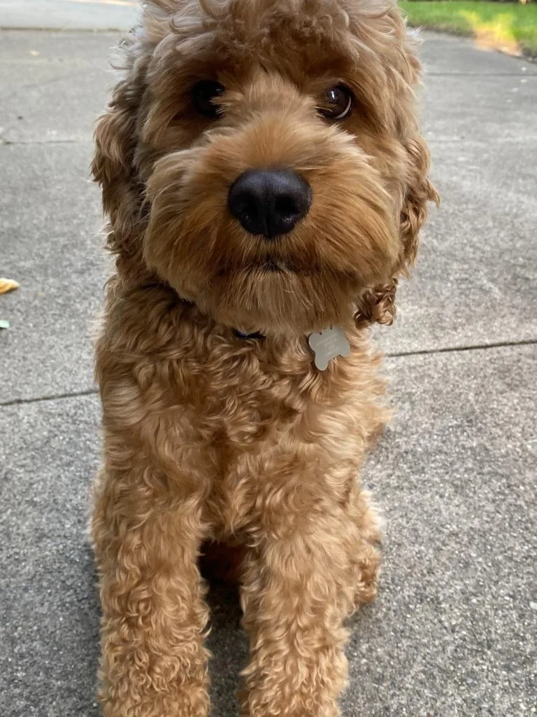 Bentley thumbnail 4