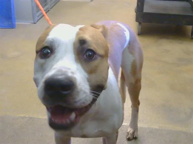 Roscoe
