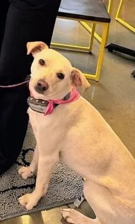 Janeane $ thumbnail 3