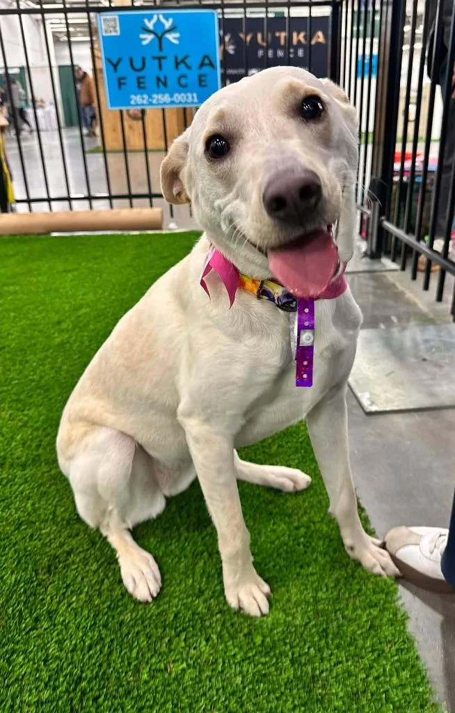 Janeane $ thumbnail 4