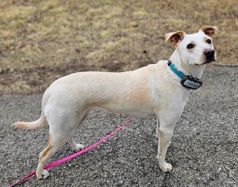 Janeane $ thumbnail 5