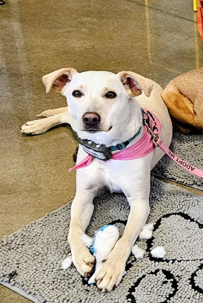 Janeane $ thumbnail 6