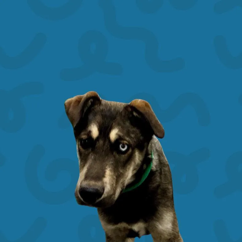 Lawrence thumbnail 2