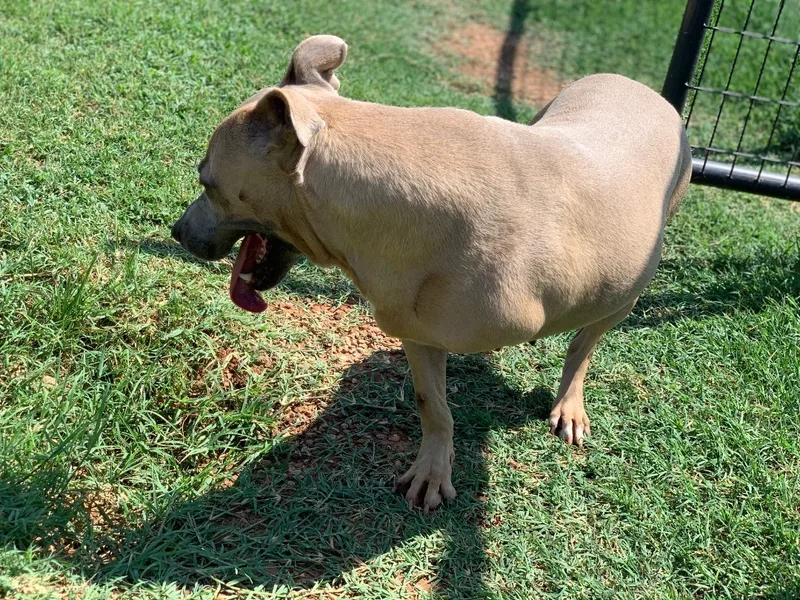 Hop Along thumbnail 2