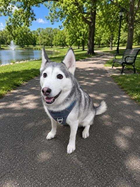 Sammy