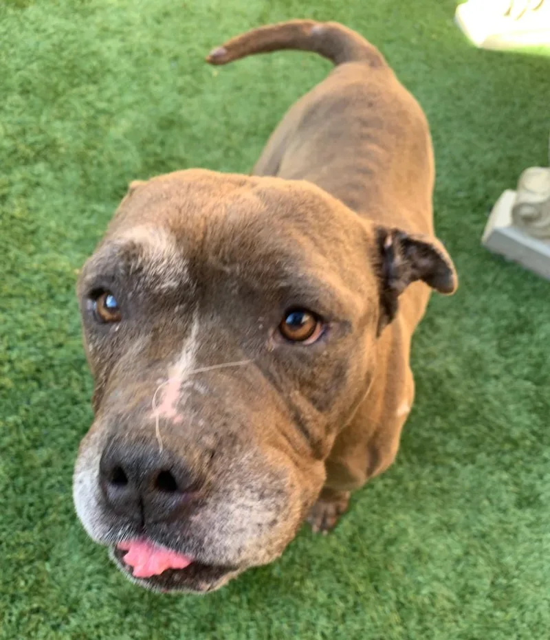 Urgent! Save Me Please! thumbnail 2