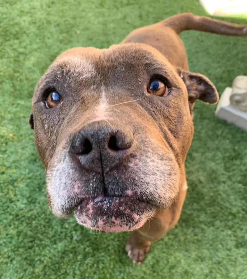 Urgent! Save Me Please!