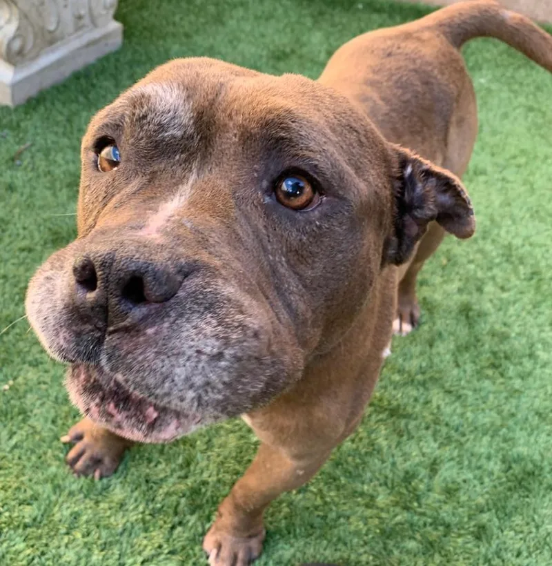 Urgent! Save Me Please! thumbnail 3