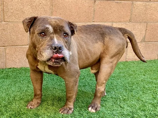 Urgent! Save Me Please! thumbnail 4