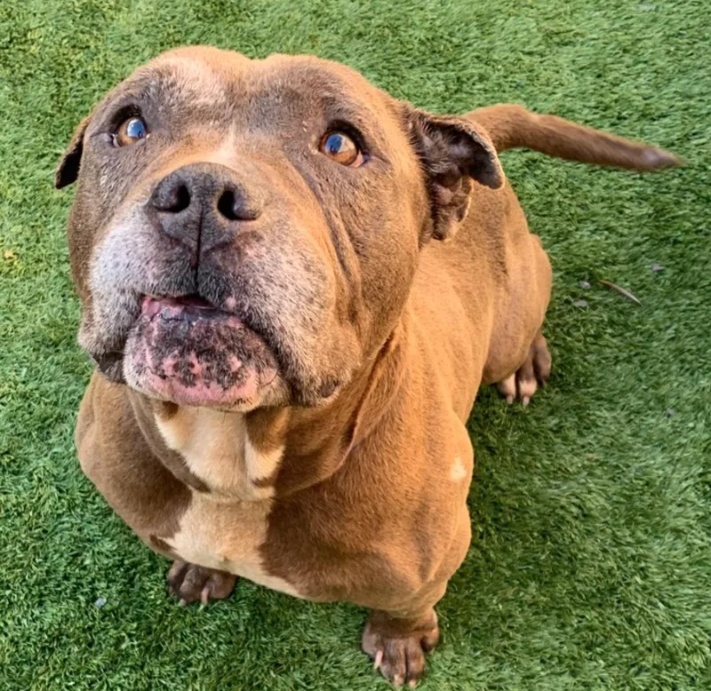 Urgent! Save Me Please! thumbnail 5