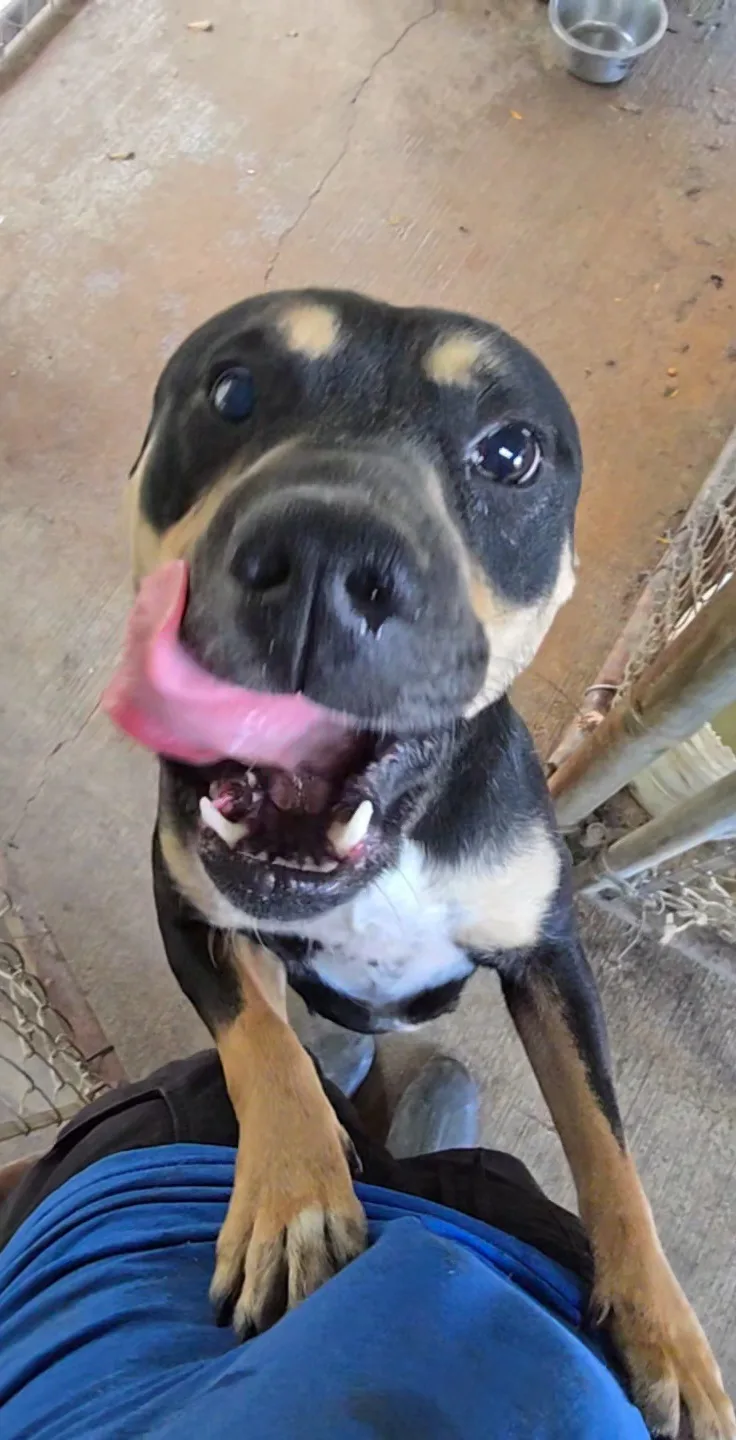 Izzy thumbnail 2