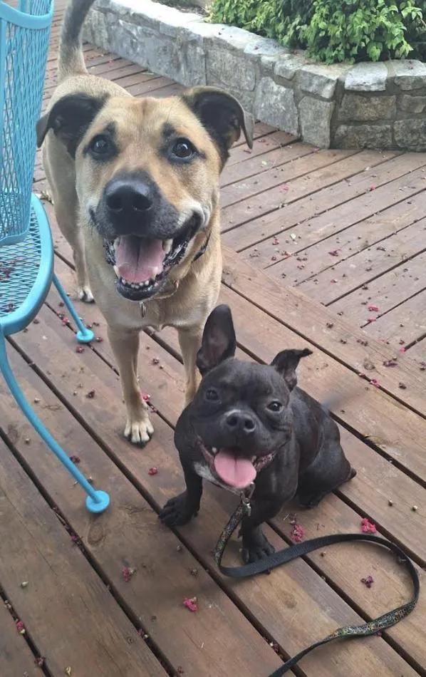 Sweetpea thumbnail 4