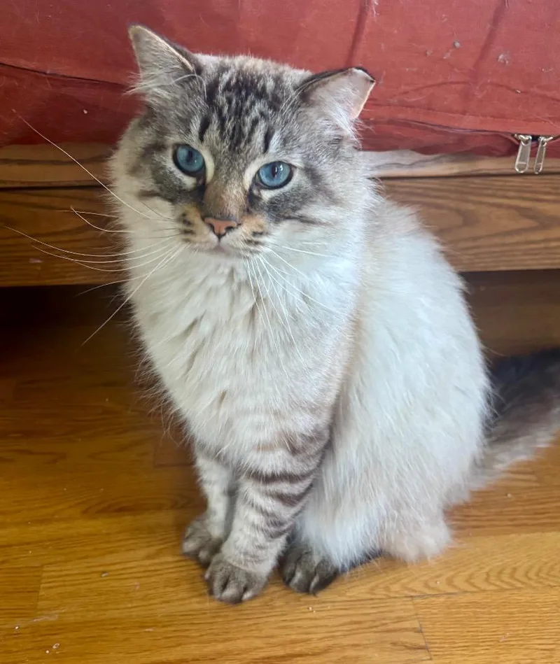 Winifred thumbnail 2