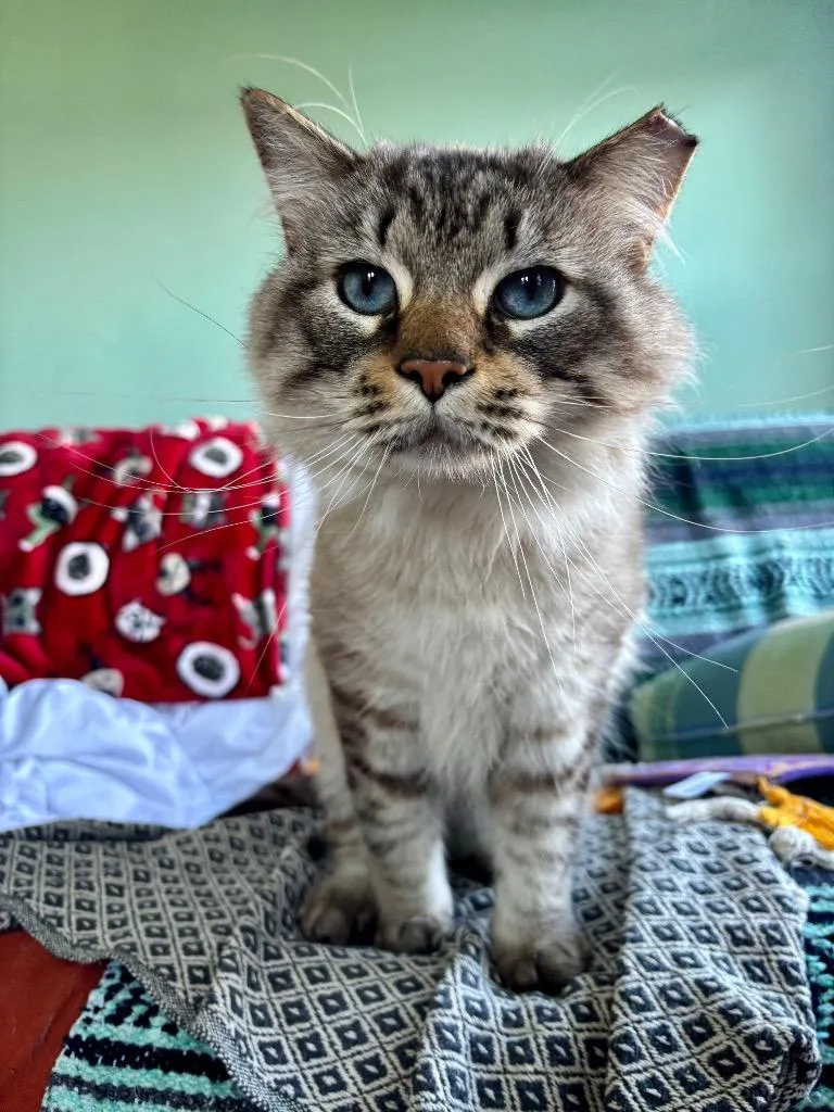 Winifred thumbnail 3