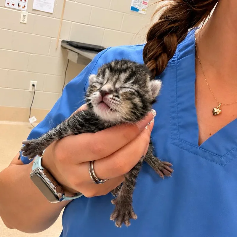 Bitty thumbnail 5