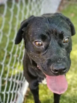 Maverick thumbnail 3