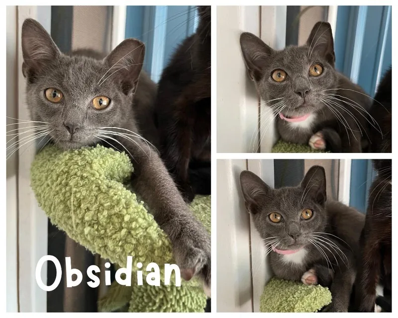 Obsidian thumbnail 2